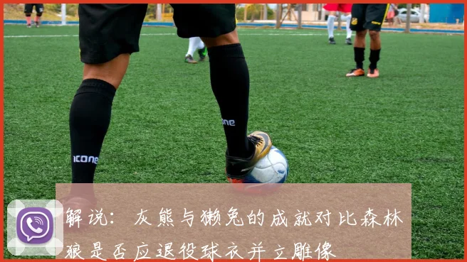 解说：灰熊与獭兔的成就对比森林狼是否应退役球衣并立雕像